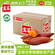 佳農(nóng)寶菜蘭考蜜薯香甜可口單果約100g+地瓜凈重4.8斤裝番薯源頭直發(fā)