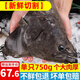 ?；蕿掣窳晏m進(jìn)口深海冰鮮冷凍鰈魚(yú)身鴉片魚(yú)頭超大比目魚(yú)魚(yú)類(lèi)生鮮批發(fā) 超大鰈魚(yú)頭 750g