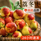 新鮮大荔冬棗5斤棗子新鮮水果當(dāng)季整箱紅青鮮棗脆棗東棗整箱包郵 凈重2斤精品裝【單果12~15g】