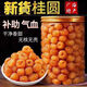 胖東來(lái)優(yōu)選桂圓果肉干正宗桂圓肉血睡眠罐裝桂圓肉無(wú)核泡水桂圓干 大補(bǔ)肝腎+止L咳【兩罐】