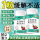 北京同仁堂靈芝西紅花苣菊茯片 【快手同款】店長(zhǎng)親測(cè)有效健康新品- 【拍一發(fā)三】靈芝西紅花菊苣茯苓片