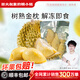 田大叔榴蓮泰國進(jìn)口冷凍榴蓮肉金枕榴蓮果肉自然樹(shù)熟液氮鎖鮮900g 凈重900g×2袋【超劃算吃嗨】