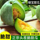 【新鮮頭茬】山東綠寶石甜瓜新鮮水果瓜孕婦水果現(xiàn)摘現(xiàn)發(fā)水果 5斤凈重4.5斤 單果160g+