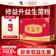 修益升修益升小修益升益生菌粉即食型益生菌調(diào)理凍干粉腸胃腸道 【升級(jí)配方】益生菌益生元活菌 1盒成人