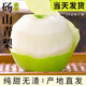 碭山梨子正宗翠冠梨當(dāng)季水果新鮮9斤皮青梨皇酥梨整箱應(yīng)香梨雪梨 9斤 【大果250g+】碭山直發(fā)脆甜多汁