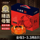 【活蟹】陽(yáng)澄鄉村大閘蟹全母3.0-3.3兩8只 去繩足重鮮活螃蟹現貨生鮮實(shí)物水產(chǎn)海鮮禮盒 