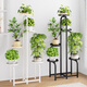 蝸家花架落地式家用時(shí)尚鐵藝室內花盆架客廳陽(yáng)臺多層綠蘿置物架多肉架