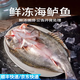 寓島碼頭開背海鱸魚調(diào)味去麟去腮去內(nèi)臟 冷凍真空鎖鮮開袋即烹海鮮水產(chǎn)魚 三去海鱸魚3條(600-700g/條)
