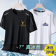 蘭迪梵t恤男2025夏季新款透氣冰絲短袖運(yùn)動(dòng)速干半袖薄款休閑百搭圓領(lǐng)衫 鹿角黑+雪山白 【2件裝】 2XL 【建議130-145斤】