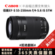 佳能（Canon）EF-S 55-250 IS STM EF 75-300 III USM二手單反相機遠攝變焦鏡頭 55-250mm f/4-5.6 IS STM三代 99新