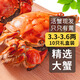 【活蟹】乾澄大閘蟹現(xiàn)貨 3.3-3.6兩10只 鮮活螃蟹六月黃生鮮河蟹禮盒裝源頭直發(fā)