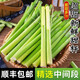 新鮮崇明甜桿產(chǎn)地現(xiàn)砍現(xiàn)發(fā)甜蘆粟甜高粱桿蘆稷甜梭甜高粱桿甘蔗 W 1斤 【實(shí)惠裝】