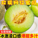 海南網(wǎng)紋蜜瓜新鮮水果當季冰淇淋哈密瓜玫瓏海陽蜜瓜甜瓜包郵山東 2-3斤裝【1-2個】