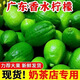 廣東香水檸檬一級無籽青皮檸檬水果小青檸檸檬香水新鮮檸檬大果 超值大果1斤裝【約3到5只】