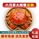 【活蟹】 六月黃螃蟹大閘蟹現(xiàn)貨鮮活去繩足重禮盒包裝 精選六月黃2.2-2.5兩8只