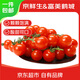 京鮮生 車?yán)逍》?凈重840g(420g*2盒)小西紅柿 水果櫻桃番茄 源頭直發(fā)