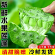 京碩果新鮮蓮蓬當(dāng)季現(xiàn)摘水果蓮蓬生吃孕婦即食甜嫩蓮子米 4朵蓮蓬【新鮮現(xiàn)摘】