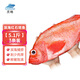 靈略 紅石斑魚凈重5.1-5.4斤共3條海捕鮮活冷凍大眼魚整條富貴魚魚類