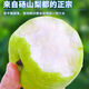 博多客正宗碭山青梨新鮮水果 皇冠梨當(dāng)季翠冠梨香酥脆蜜早雪梨整箱包郵 3斤（4-6個(gè)）