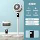 揚(yáng)子空氣循環(huán)扇電風(fēng)扇家用風(fēng)扇輕音節(jié)能換氣扇搖頭電扇辦公室宿舍出租房小型臥室省電風(fēng)大空調(diào)伴侶 機(jī)械款