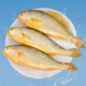 竹嶼島浙江大陳冰鮮原條大黃魚凈重 650g*3條 源頭直發(fā)原條大黃魚 