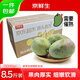 京鮮生 攀枝花凱特芒果 凈重8.5斤 單果410g+ 生鮮水果 源頭直發(fā)