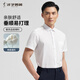 才子（TRIES）【易打理】男士短袖襯衫夏季職業(yè)襯衣商務(wù)正裝純色簡約襯衫 白色 3XL 42(180/100A)