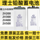理士DJ300理士蓄電池2V300AH直流屏UPS電源備用電池200AH400AH500AH 2V200AH
