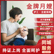 住家月嫂服務(wù)疏導(dǎo)產(chǎn)后形體恢復(fù)照護(hù)孕婦疾病預(yù)防抑郁寶寶臍帶護(hù)理 簽合同線上有保障 預(yù)約費(fèi) 育兒嫂上門服務(wù) 專業(yè)團(tuán)隊(duì)