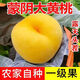 【頭茬】山東現(xiàn)摘頭茬爆汁黃桃 軟糯脆甜當(dāng)季孕婦水果整箱 5斤 凈重4.5斤 普通裝單果100g+