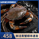 【活蟹】東非鮮活青蟹大紅膏蟹大螃蟹母紅膏蟹鮮活發(fā)貨 海鮮禮盒 【鮮活】青蟹公肉蟹3斤/5-6只