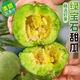 【爆甜-多汁】山東現(xiàn)摘綠寶石甜瓜 水果新鮮當(dāng)季整箱綠寶甜瓜 5斤(凈重4.5斤) 精選裝單果 120g+
