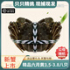 【活蟹】現(xiàn)貨陽澄欣權(quán)大閘蟹鮮活全母螃蟹全公蟹生鮮水產(chǎn)禮盒裝 精挑六月黃8只3.5-3.8兩