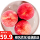 迭果河北深州水蜜桃西馬莊貢品大蜜桃蜜香味道超大壽桃子應(yīng)季現(xiàn)摘 5斤水蜜桃普通裝
