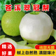 果農(nóng)俠果農(nóng)俠  四川廣元蒼溪翠冠梨雪梨特產(chǎn)當季水果雪梨青皮香甜梨 大果5斤【普通快遞】
