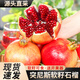 亨迅突尼斯軟籽石榴水果四川會理紅寶石無籽甜石榴新鮮中秋節(jié)水果禮盒 品質(zhì)5斤 單果200g+（凈重4.5斤） 【粒粒精選丨送開果器】