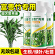 京厽富貴竹營(yíng)養液水培植物專(zhuān)用葉子發(fā)黃觀(guān)音竹文昌竹竹子盆栽通用肥料 富貴竹專(zhuān)用營(yíng)養液300ml*1