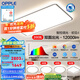 歐普（OPPLE）LED全光譜吸頂燈大客廳自建房超大臥室簡約現(xiàn)代智能燈具初見4TC C6智慧光全光譜【4室1廳-5燈】