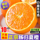 新鮮夏橙橙子大果孕婦水果當季整箱秭歸臍橙榨汁手剝果凍鮮橙 5斤 60mm(含)-65mm(不含)