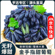 亨迅山西金手指葡萄藍(lán)寶石黑加倫提子新鮮水果生鮮 精品果凈重2斤裝