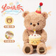 赟婭可愛(ài)小熊生日蛋糕毛絨玩偶求婚玩偶道具送女生七夕新年生日禮物 拉比系列生日小熊 50cm 送女生生日禮物女孩玩偶娃娃玩具