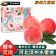 南步河北深州大蜜桃【順豐速運】馬莊大壽桃貢桃油蟠桃水蜜桃禮盒送禮 8枚 精品大果【單果7-8兩】彩箱