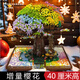 非樂高積木兼容彩虹櫻花樹屋積木房子大型玩具14歲女孩子生日禮物 彩虹樹屋+莊園【送鋼琴】
