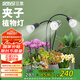 三思夾子植物燈led室內(nèi)全光譜綠植盆栽花卉分區(qū)補(bǔ)光燈-30W三頭定時
