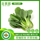 北菜園油菜有機油菜250g（上海青）新鮮蔬菜【進(jìn)店多樣加購】火鍋食材 250g/份