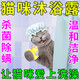 天望貓咪洗澡沐浴露清潔驅(qū)蟲止癢除螨洗護二合一去蚤虱子殺菌持久留香 500ml 1瓶 【洗一次 就見效】