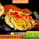 廣東正宗頭手黃油蟹 鮮活特大膏油蟹節(jié)送禮海鮮禮盒 【1只膏油黃油蟹】（5-6兩）