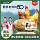 楊博士皖南土雞走地雞煲湯椰子雞黃燜雞鹽焗雞生鮮雞肉食材 50型老母雞 【50型主推】2只老母雞（贈雞血）