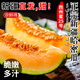 京地達新疆哈密瓜禮盒 凈重8斤單果2.5斤 蜜瓜當季新鮮源頭直發(fā)包郵
