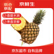 京鮮生 海南金鉆鳳梨 中果4個(gè)裝 單果約600g以上 生鮮水果